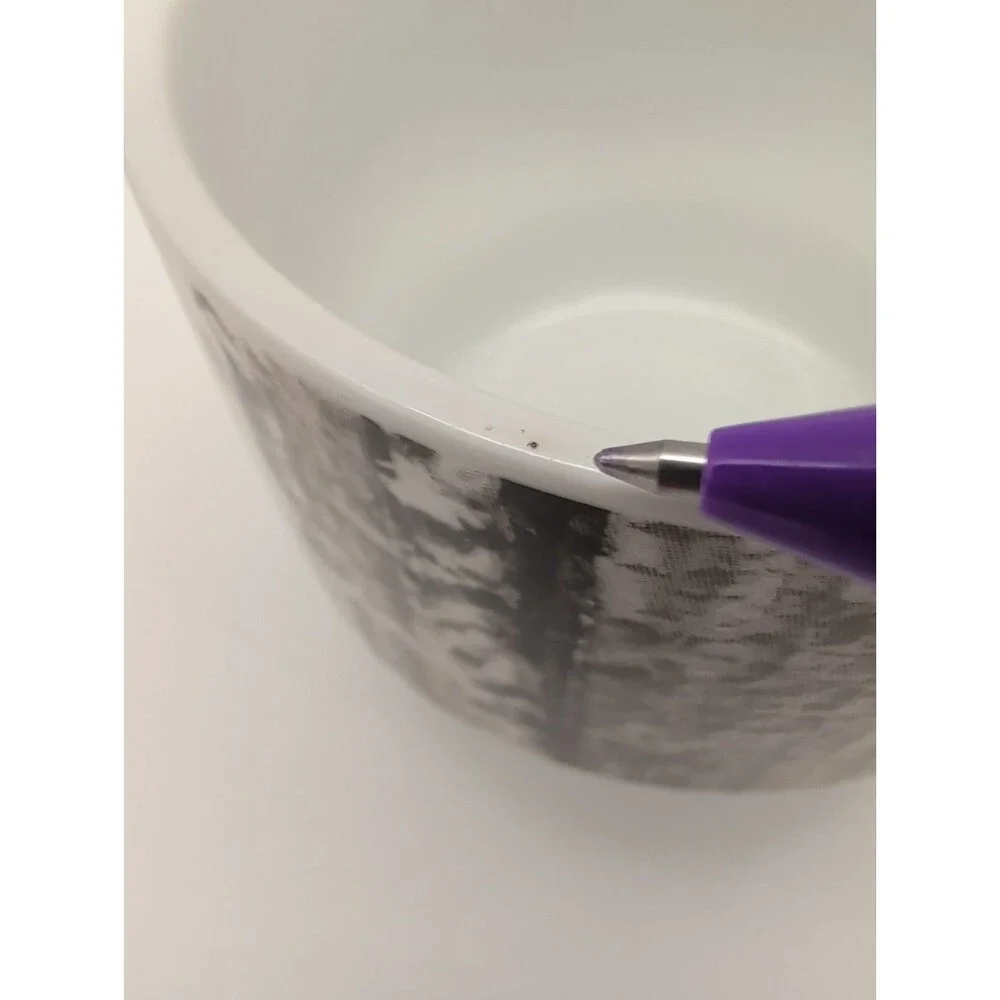 Pier 1 Snow Forest Stacking Mug Birch Tree Winter Replacement 3rd From Bottom